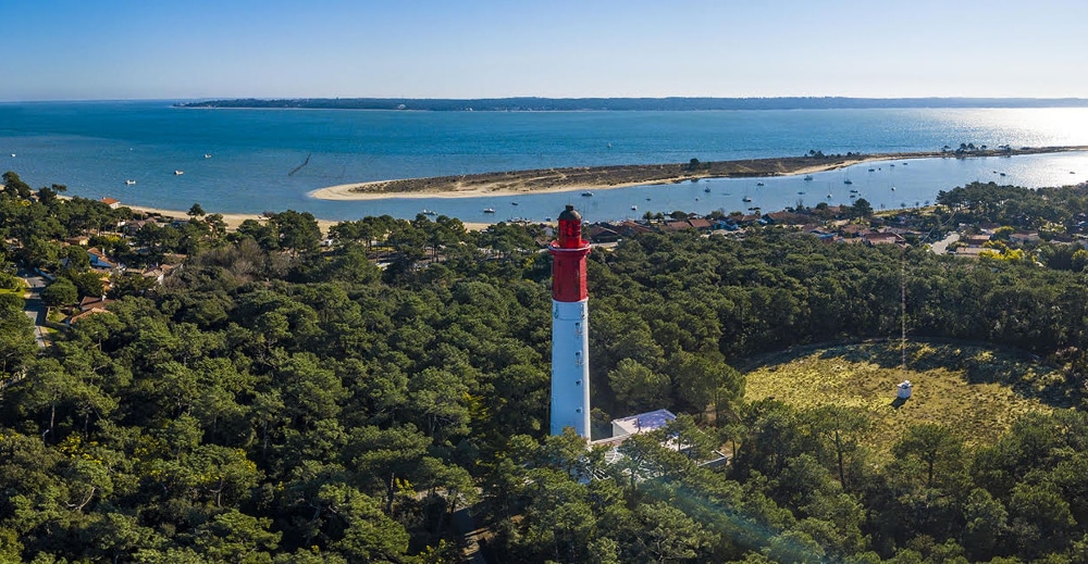 cap ferret - image illustration